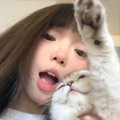 江山美人